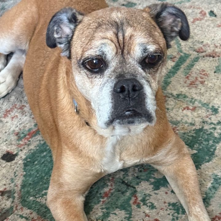 Reggie 1