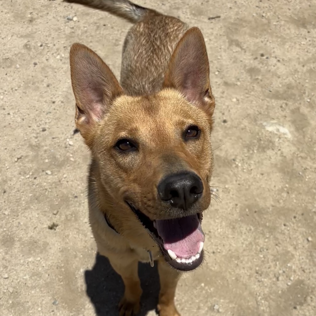 Ben A2186116