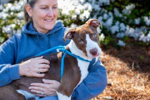 Handy Nandy (in foster)