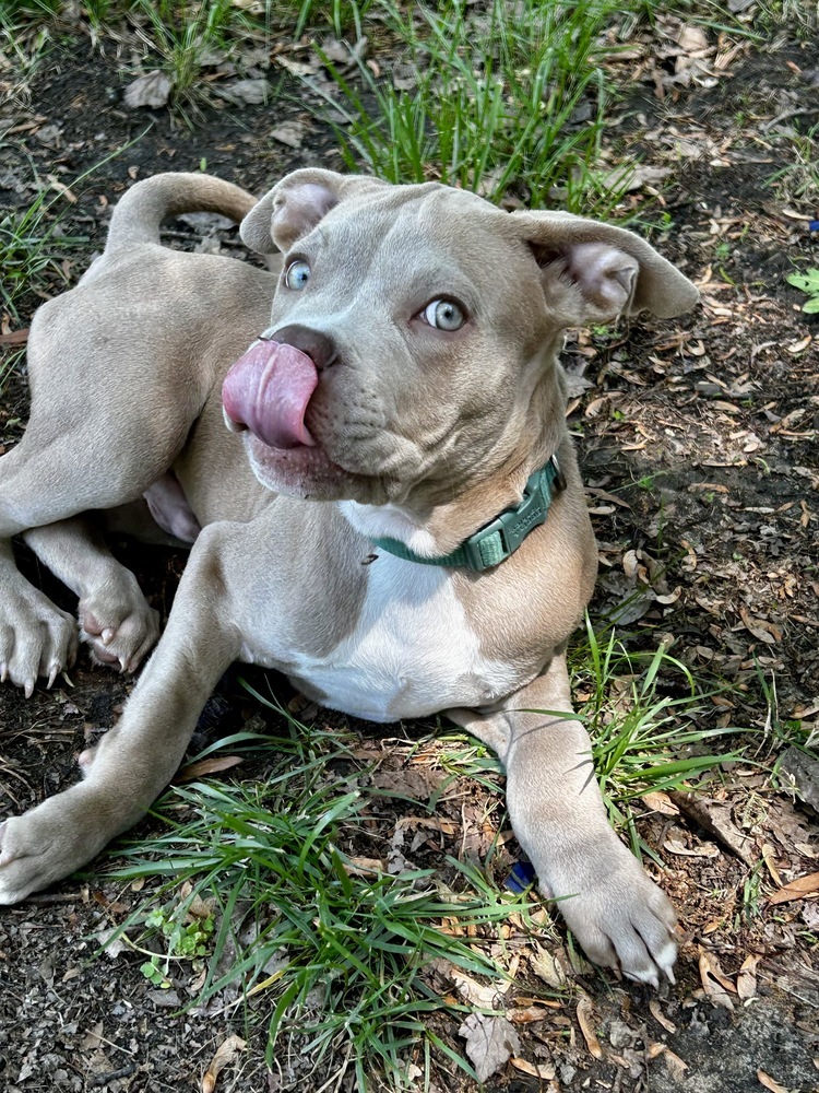 Miller