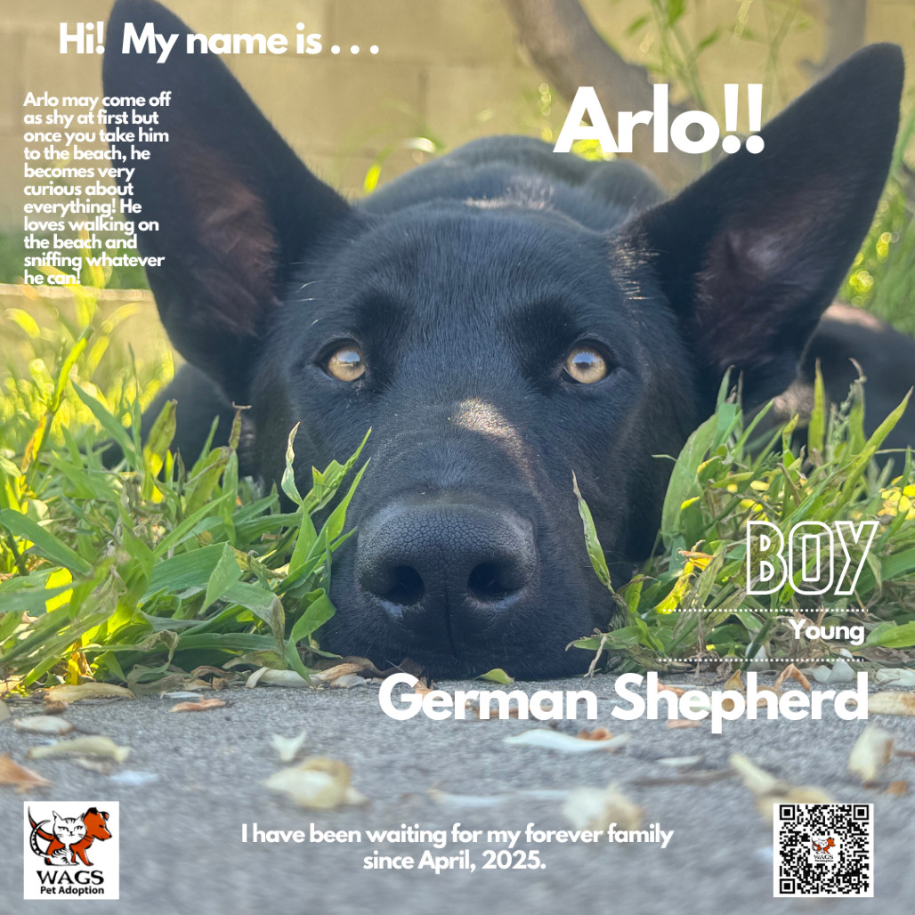 Arlo