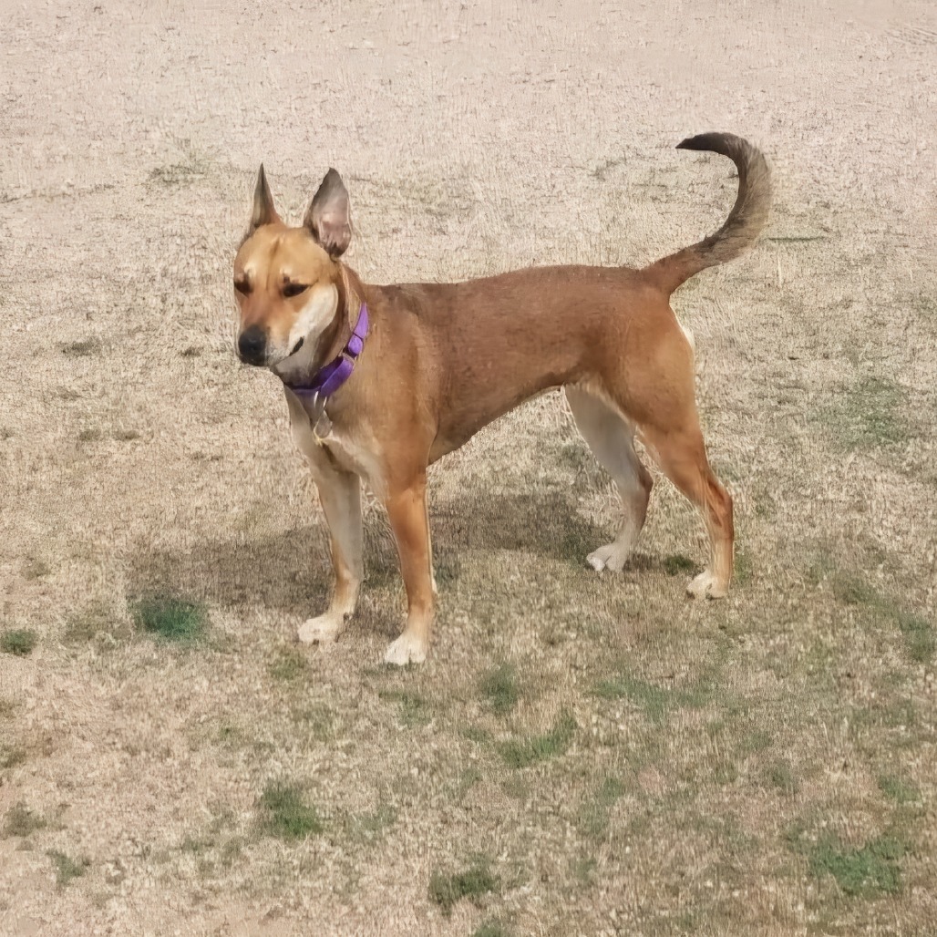 Sammie