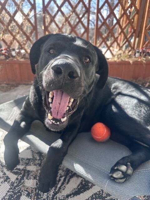 Walter