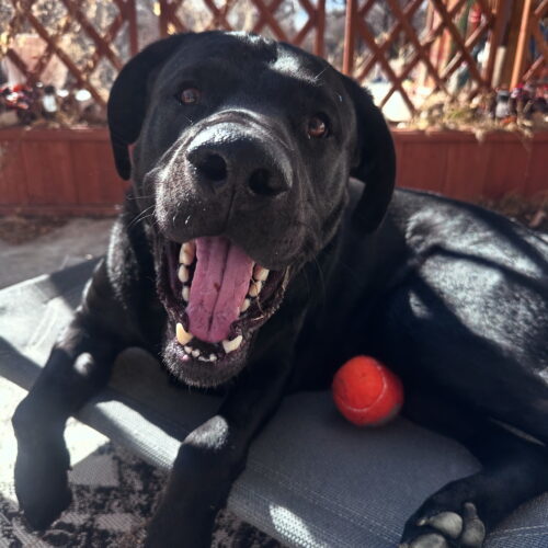 Walter