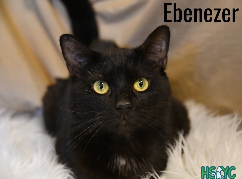 Ebenezer
