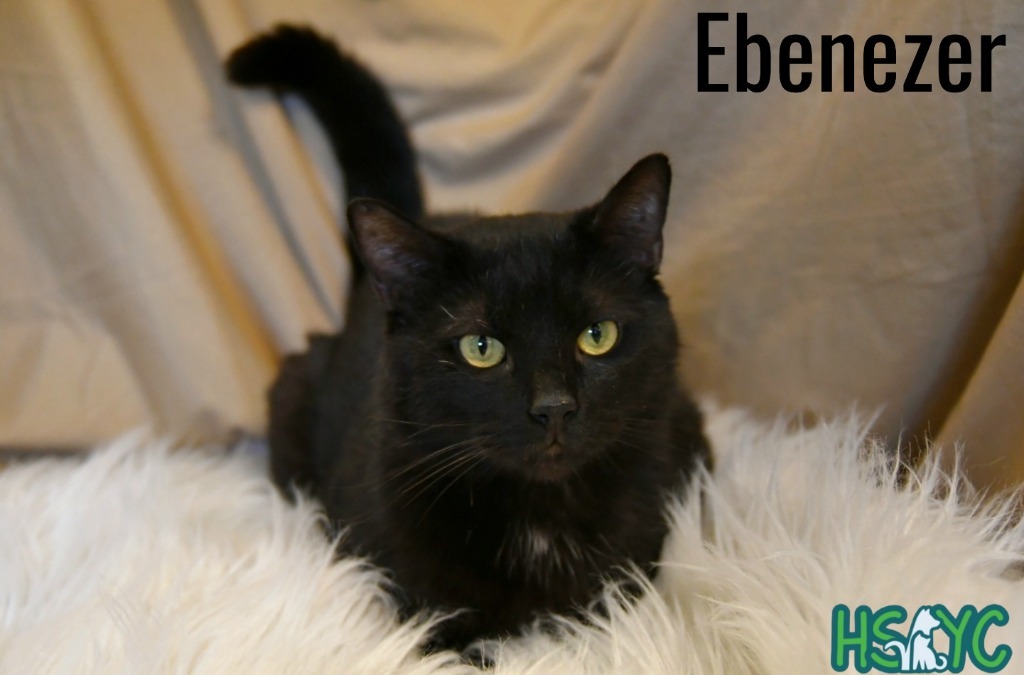 Ebenezer