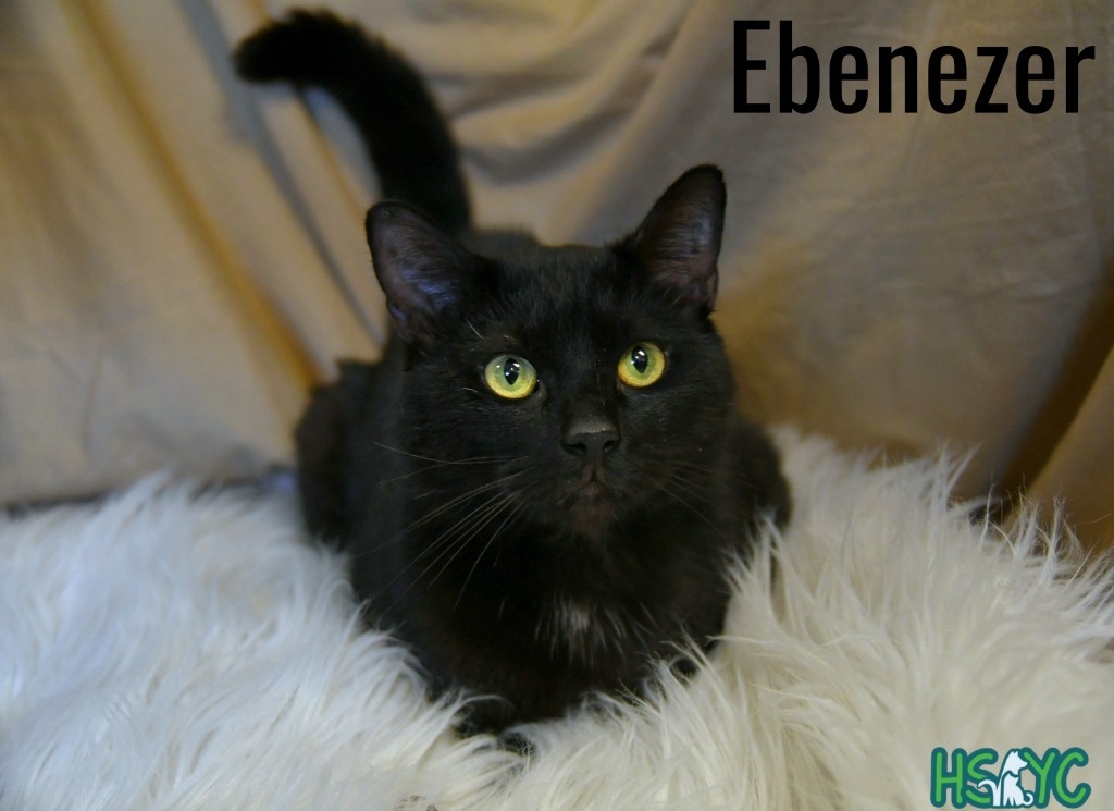 Ebenezer