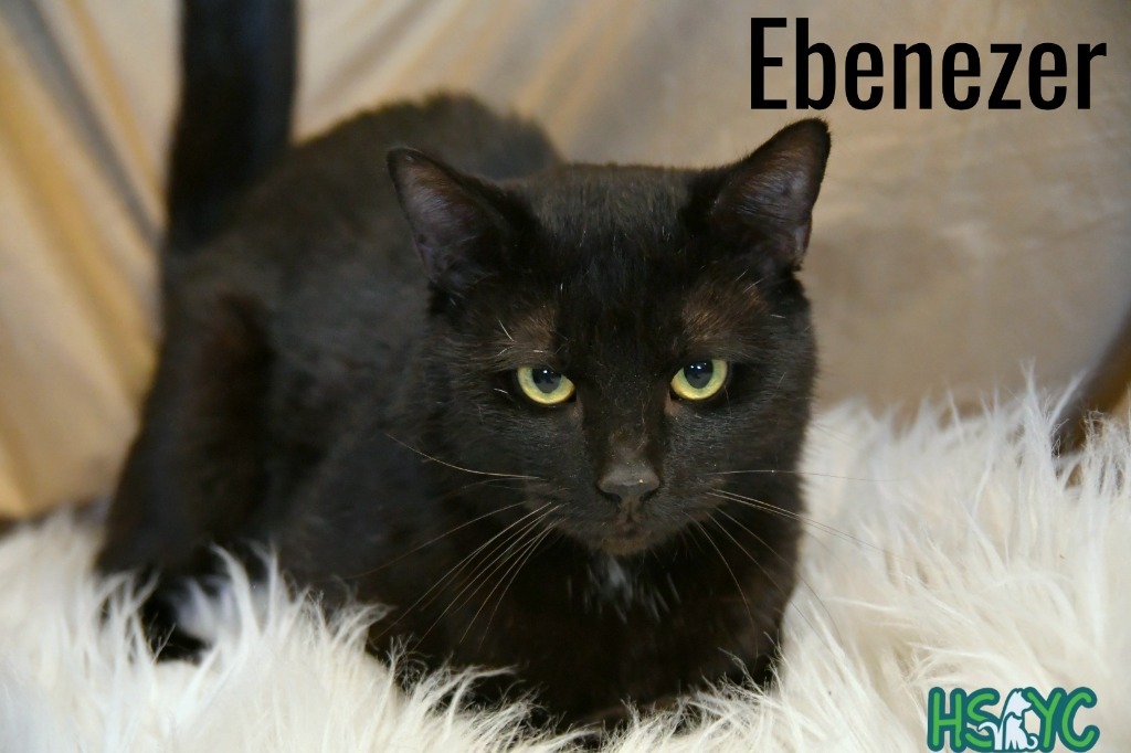 Ebenezer