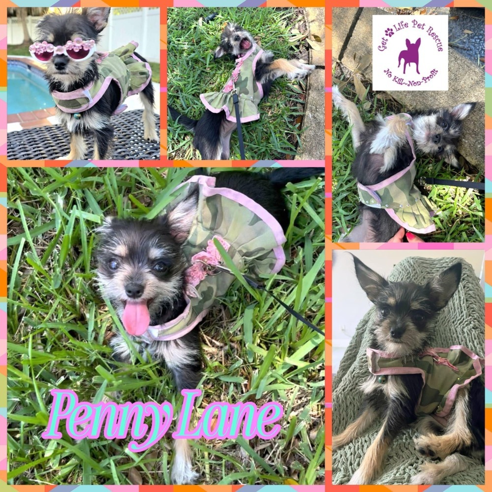 Penny Lane
