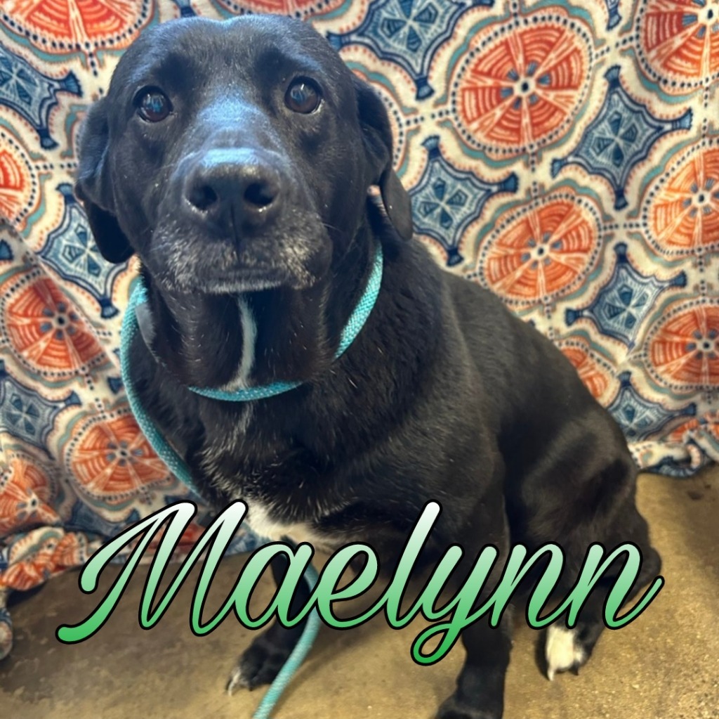Maelynn