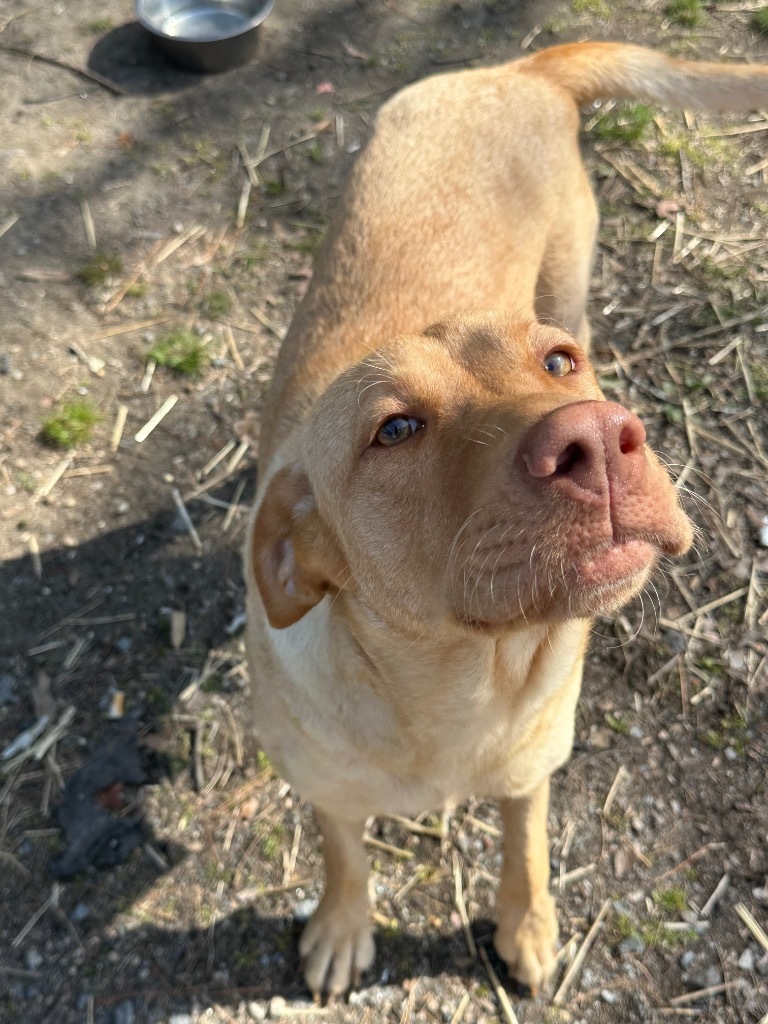 Sandy