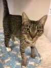 Cat Benatar photo 1