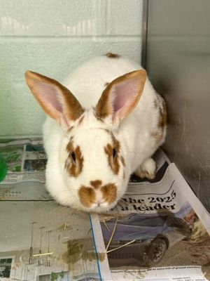 Lorraine is a strong beautiful independent lady who doesnt want to be told what to do or where to