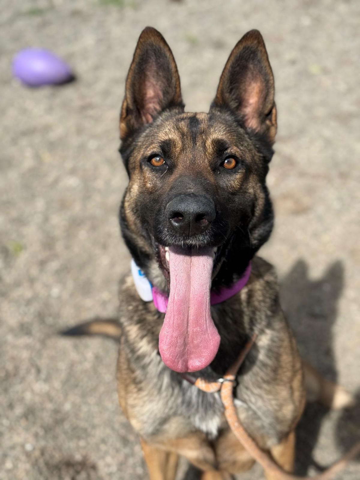 KIRA