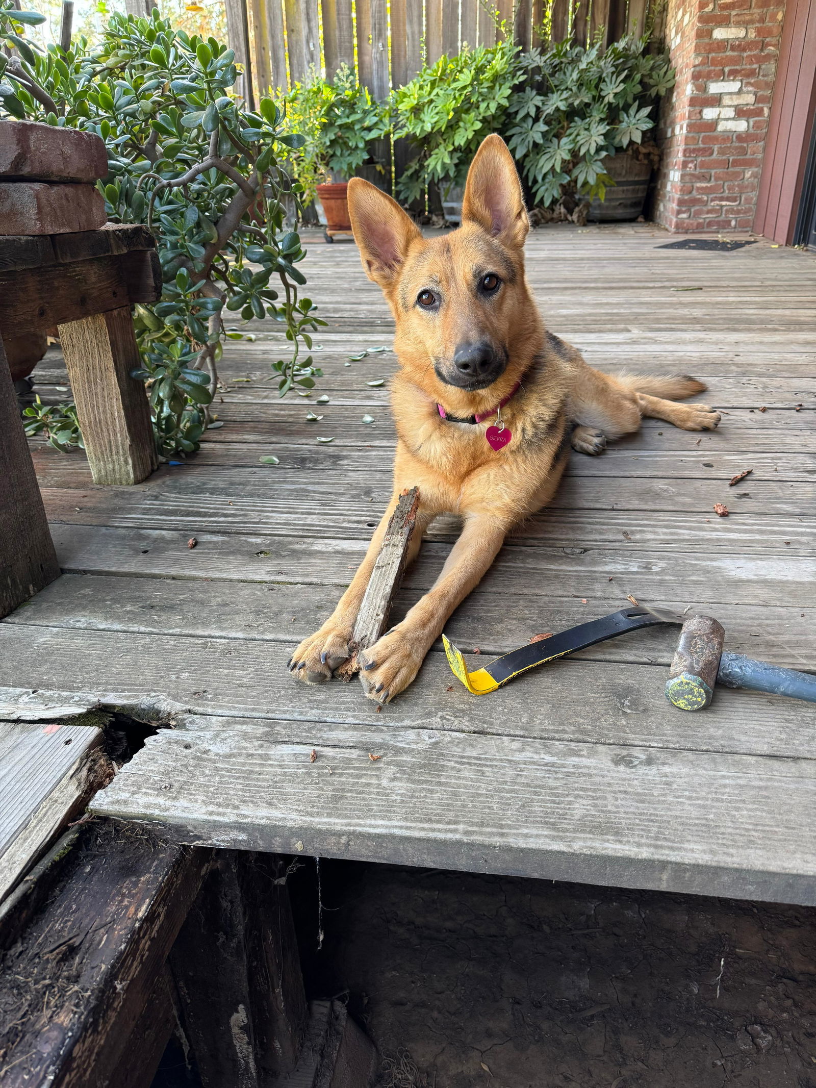 *SIERRA