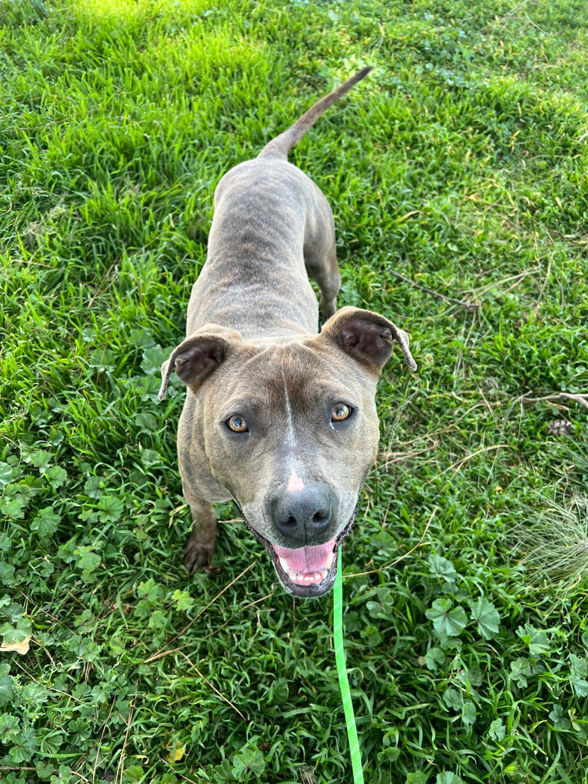 LUNA