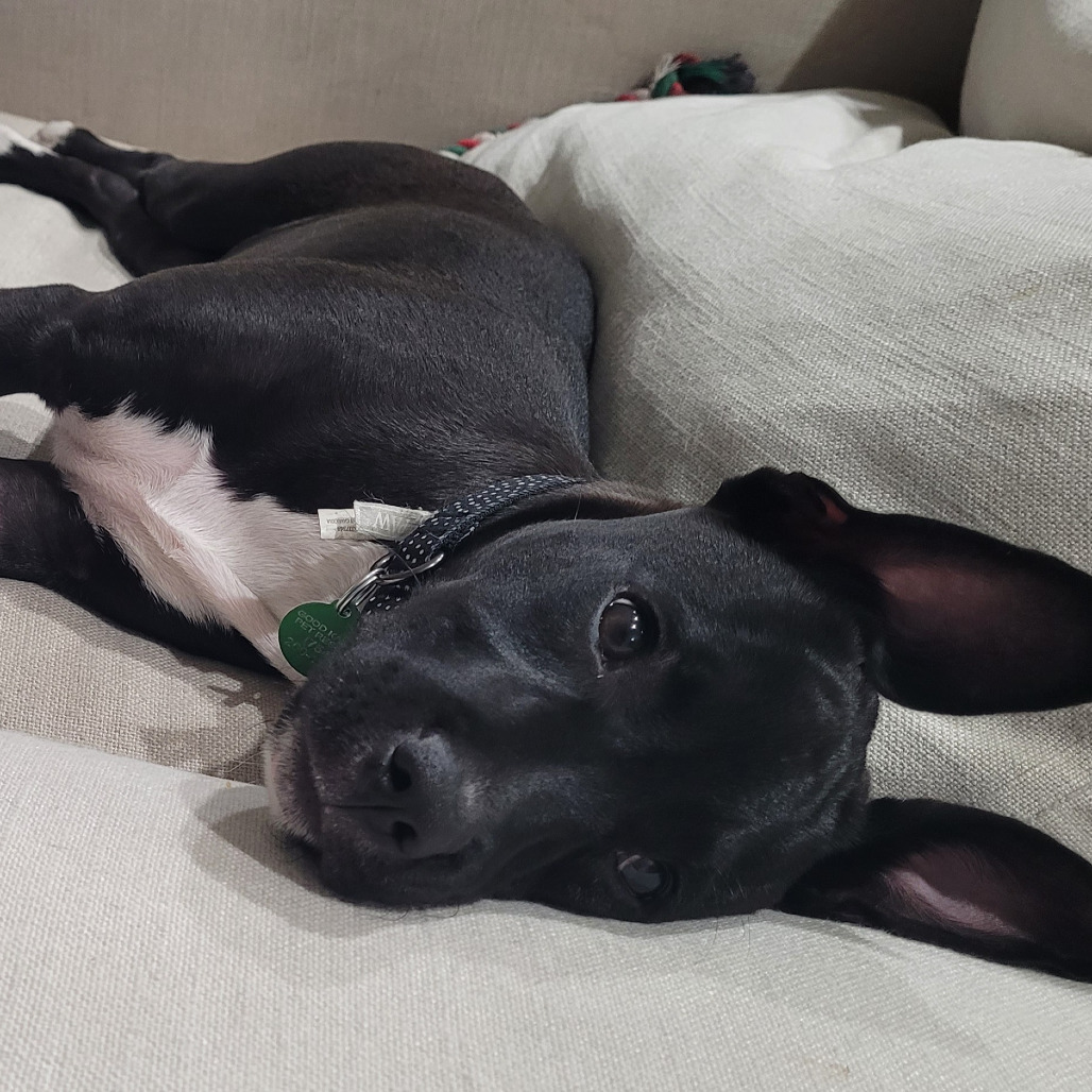 Xena