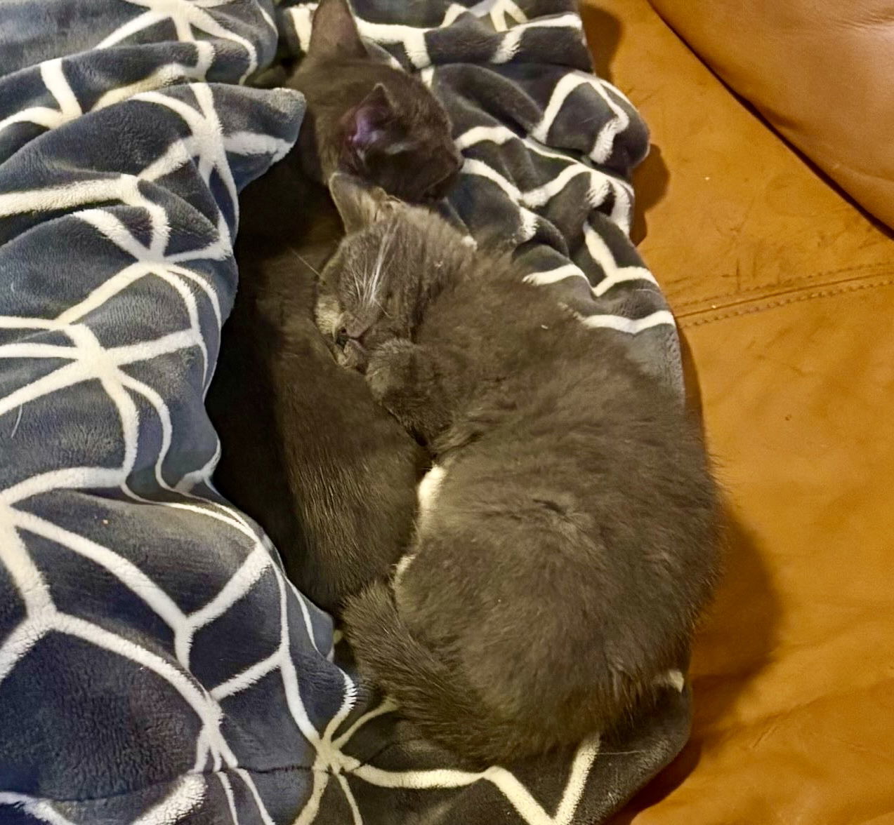 Pancake