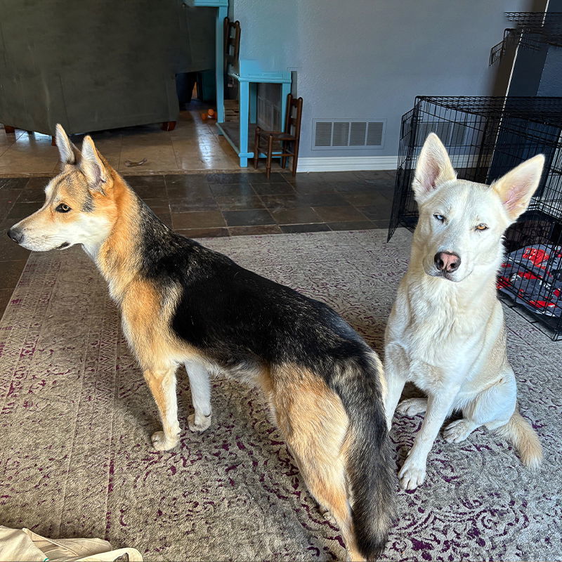 Gravy I (New Digs)