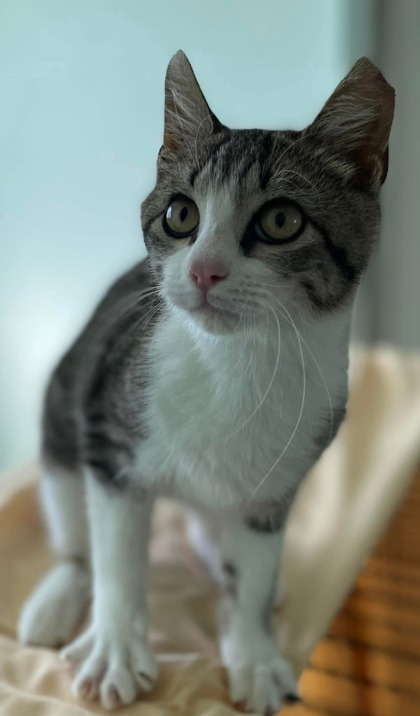 Kevin