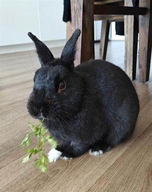 Hey there Arlo howd you get so cute It just comes naturally of course Hes one of the friendlie