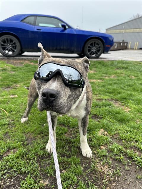 COOL GUY