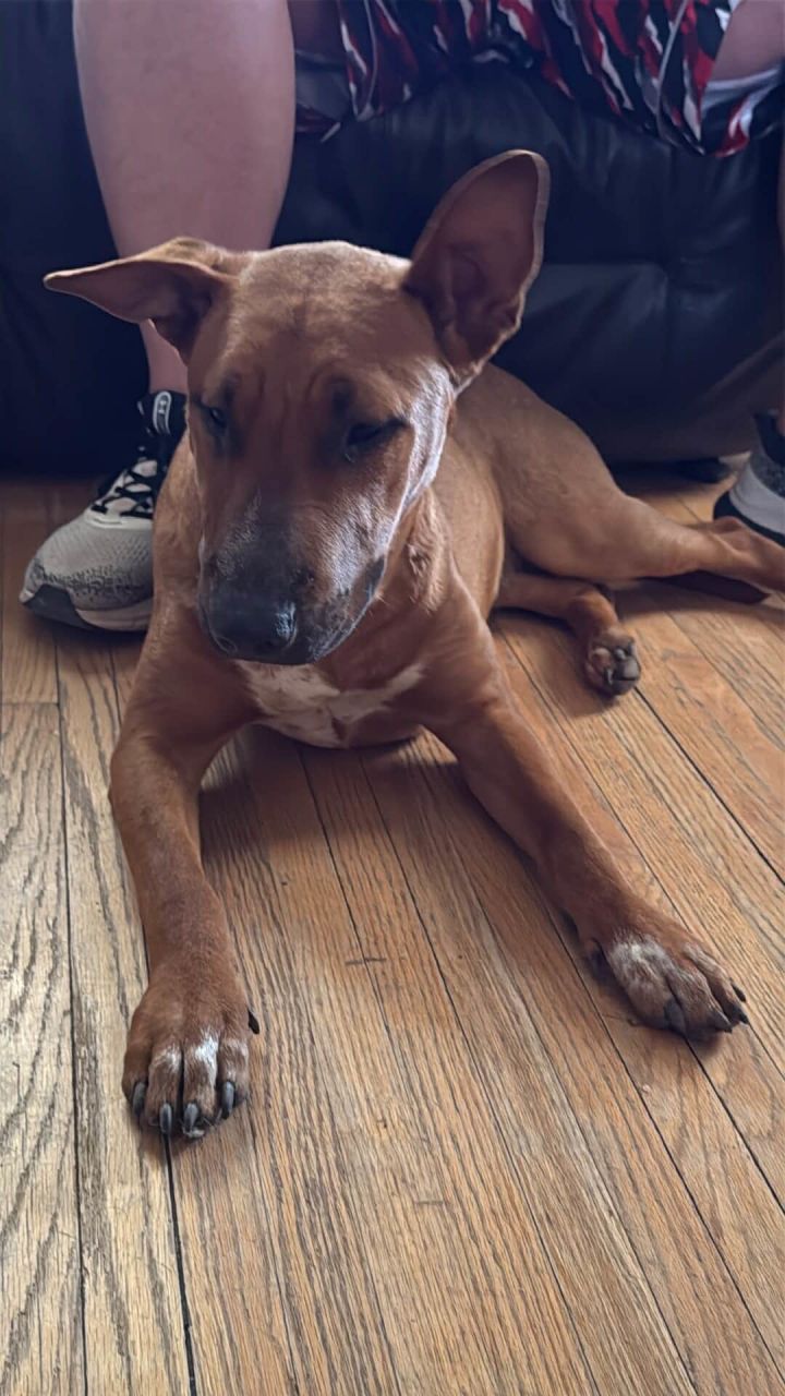 Coco 2
