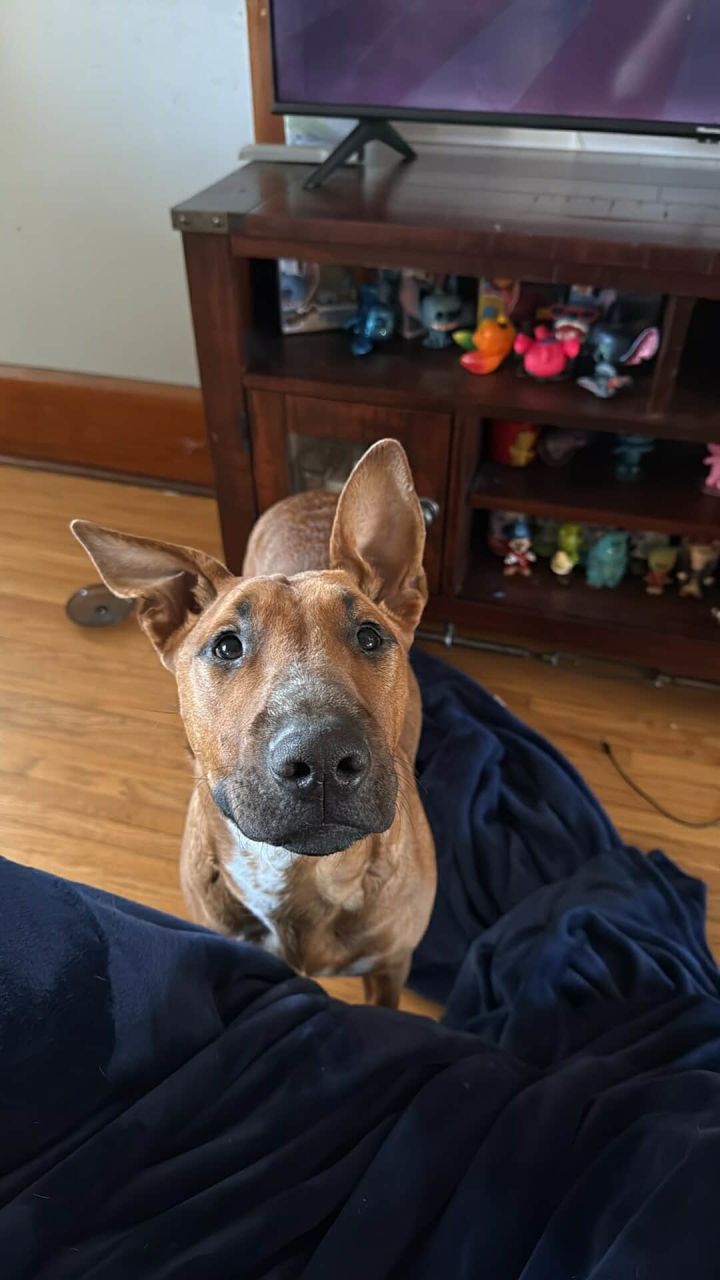 Coco 3