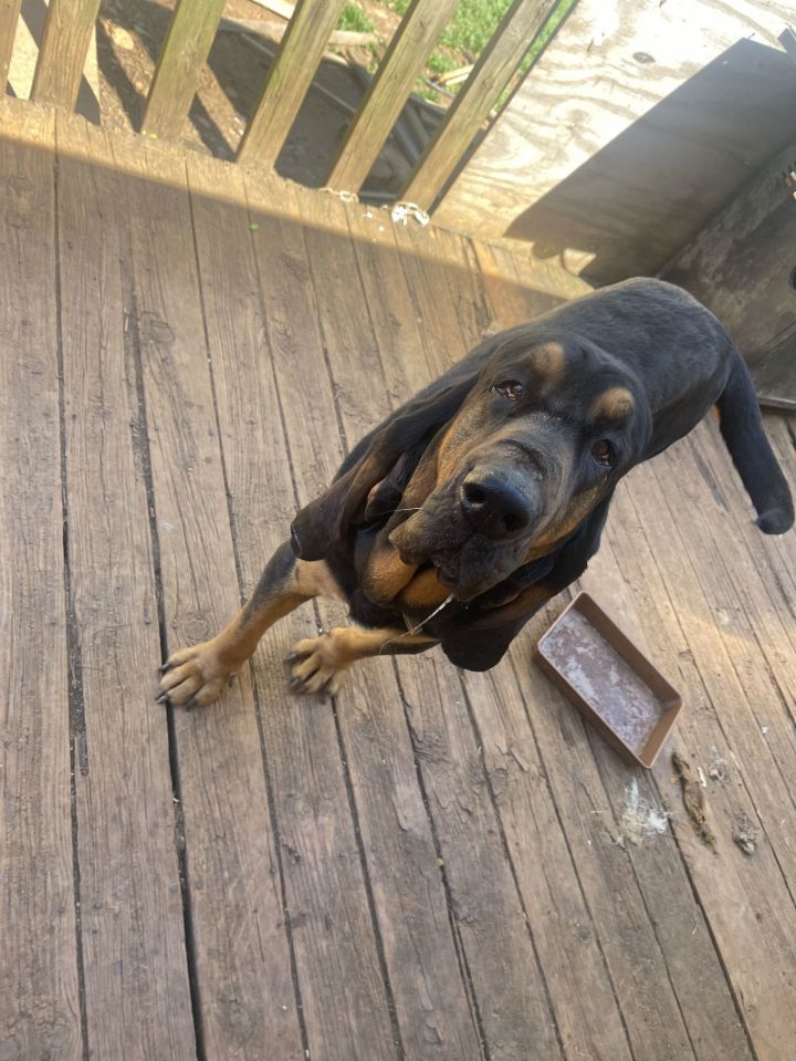 Biskit: "My Home to Yours" 1