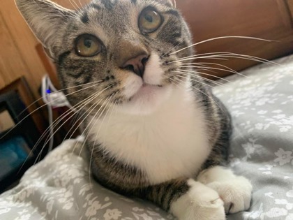 Thomas
