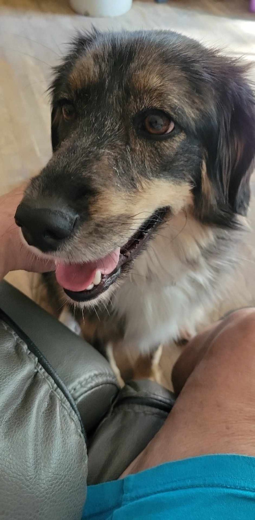 Annie