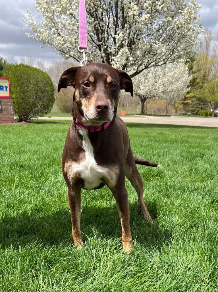 Meekah- aka Penny