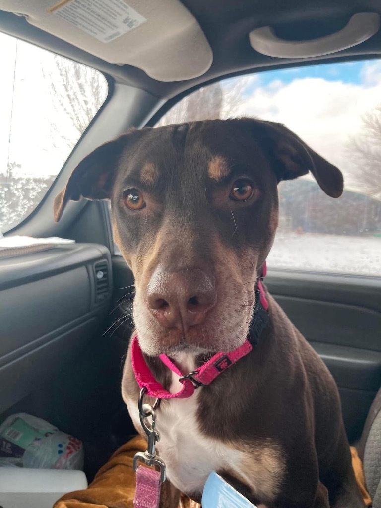 Meekah- aka Penny