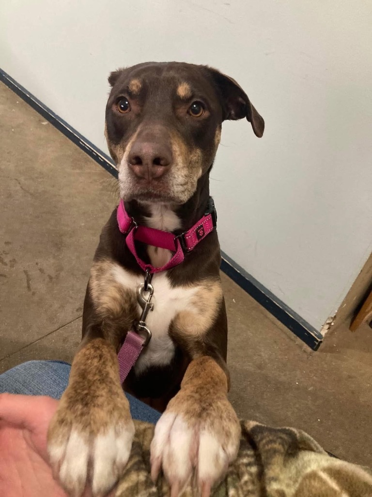 Meekah- aka Penny