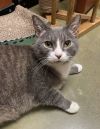 Oliver photo 1