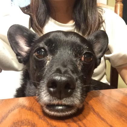 Frankie