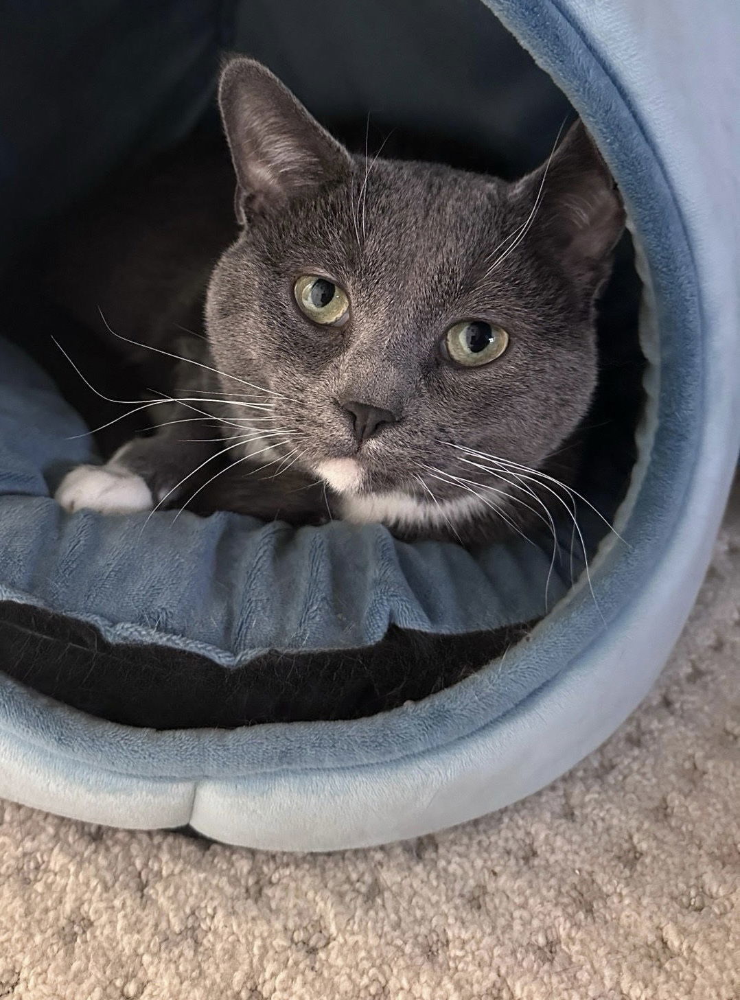 Watson