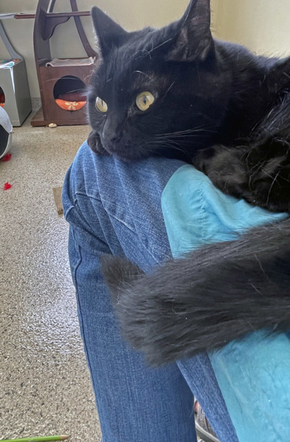 Sushi (Bonded to Pib)