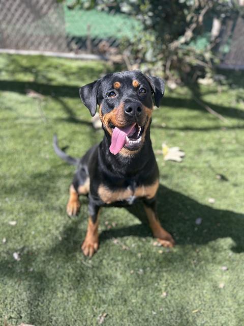 FRISBEE