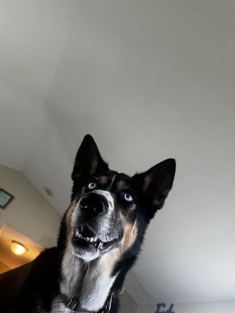REMI