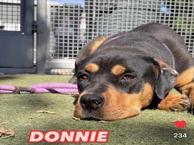 DONNIE