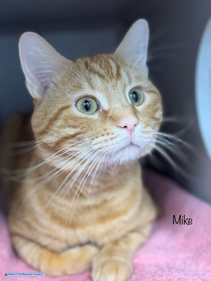 Mike