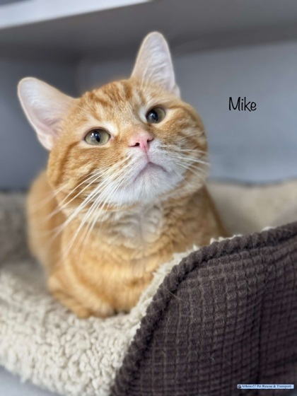 Mike