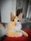 Frannie photo 4