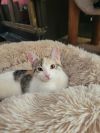 Frannie photo 5