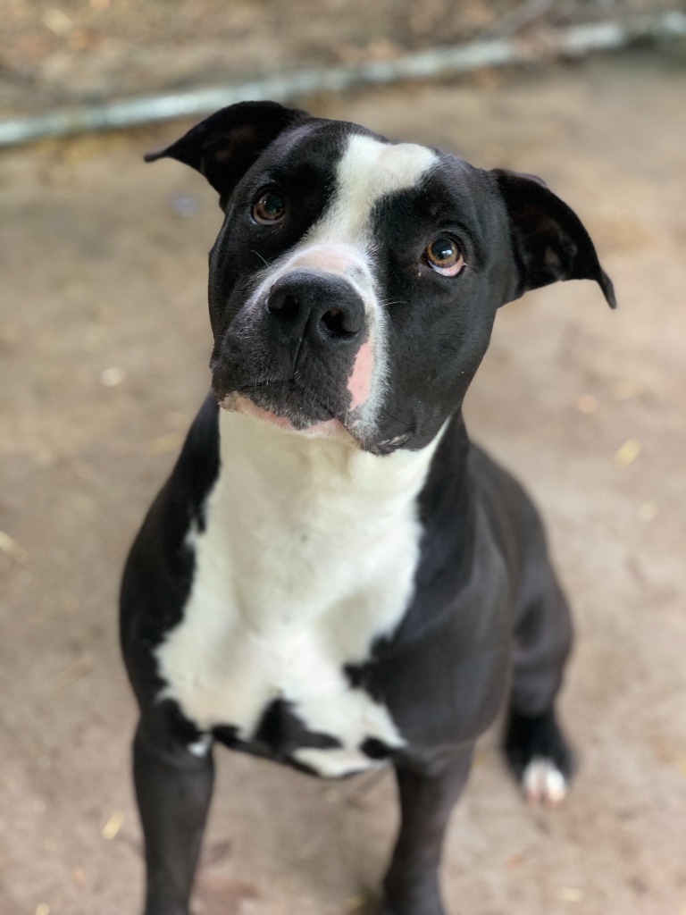 Sammich AKA "Chance
