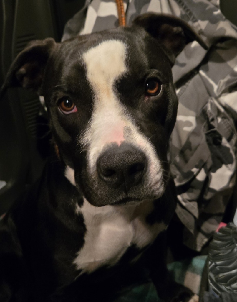 Sammich AKA "Chance