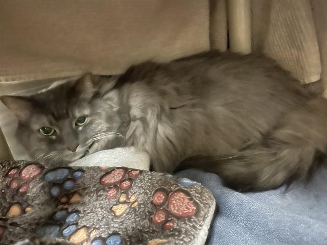 TINKER
