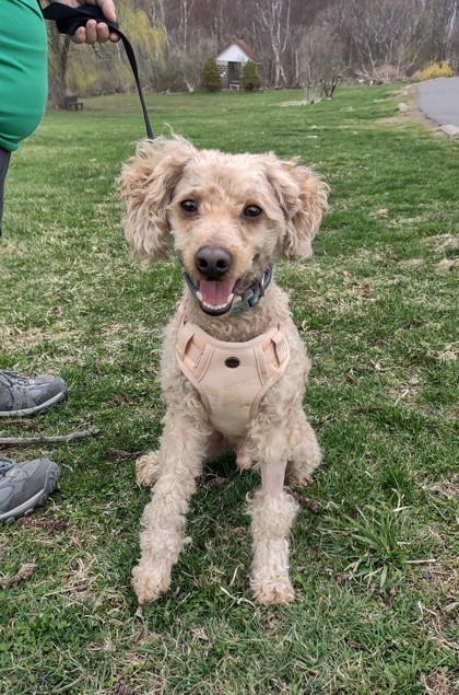 MILO