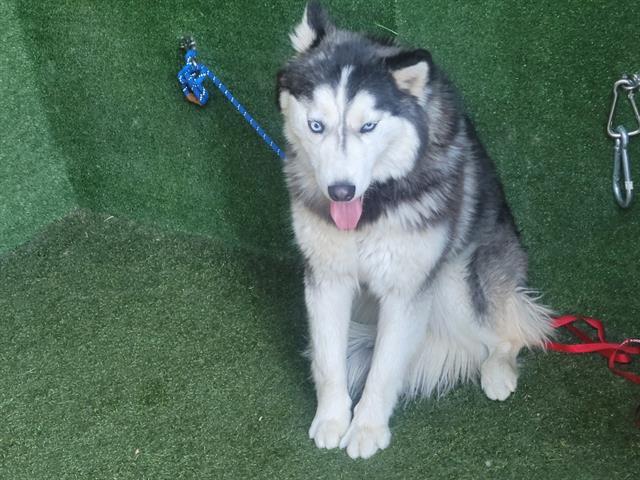 LUNA